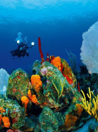 St Eustatius diving with American Dive Zone